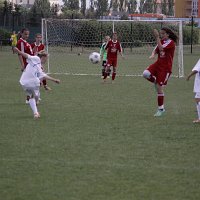 IMG 1986
